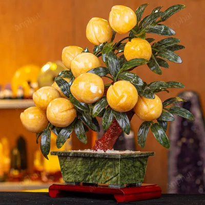 Cây Đào Đá Ngọc Hoàng Long 3A 12 Quả 016-0493A-12