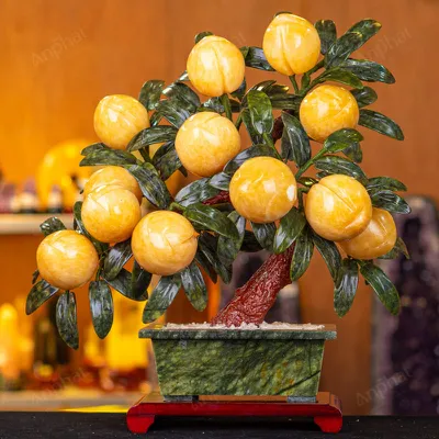 Cây Đào Đá Ngọc Hoàng Long 3A 12 Quả 016-0493A-12