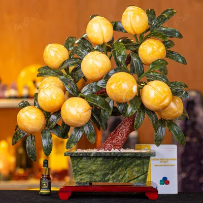 Cây Đào Đá Ngọc Hoàng Long 3A 12 Quả 016-0493A-12