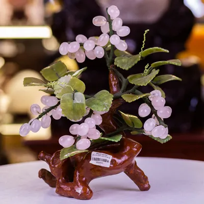 Cây Nho Đá Thạch Anh Hồng - 30cm - M08222