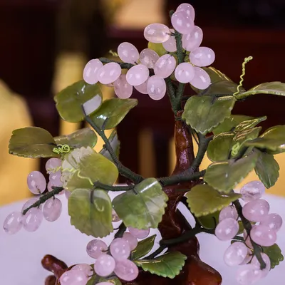 Cây Nho Đá Thạch Anh Hồng - 30cm - M08222