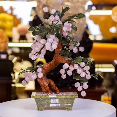 Cây Nho Đá Thạch Anh Hồng - 50cm - M10010