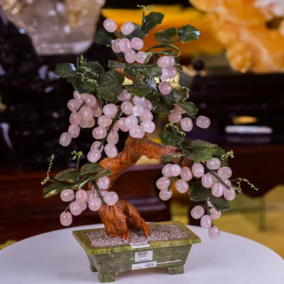 Cây Nho Đá Thạch Anh Hồng - 50cm - M10010