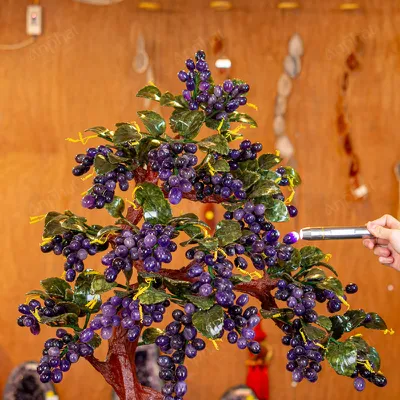 Cây Nho Đá Thạch Anh Tím - 80cm - M29532026