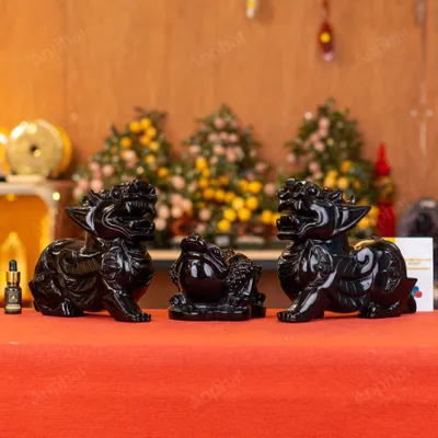 Combo Tỳ Hưu - Thiềm Thừ Obsidian Đen - M273281