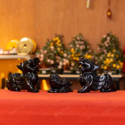 Combo Tỳ Hưu - Thiềm Thừ Obsidian Đen - M273137