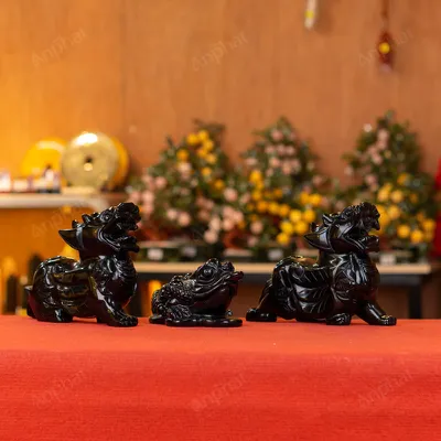 Combo Tỳ Hưu - Thiềm Thừ Obsidian Đen - M273137