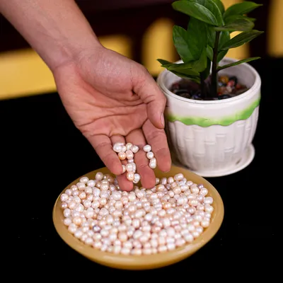 Ngọc Trai Tự Nhiên - M2154