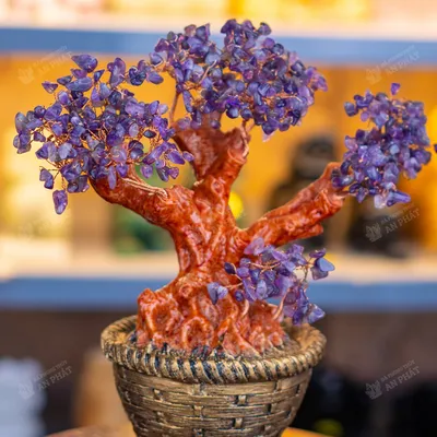 Cây thạch anh tím 25cm M2732 | Cây đá thạch anh