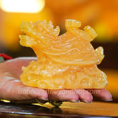 Long Quy Ngọc Hoàng Long - M2539