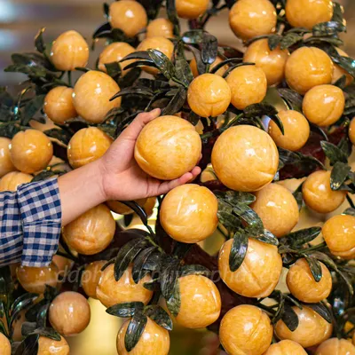 Cây Đào Đá Ngọc Hoàng Long 88 Quả - M2566