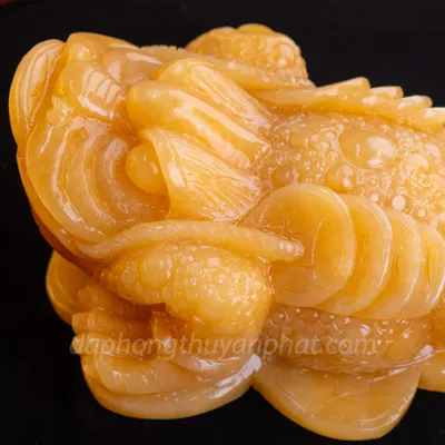 Thiềm Thừ (Cóc 3 Chân - Cóc Ngậm Tiền) Ngọc Hoàng Long - 25cm - M2153