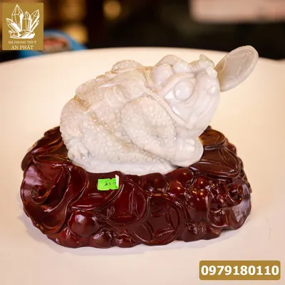 Thiềm Thừ Ngọc | Thiềm Thừ Ngọc Phỉ Thúy | Thiềm Thừ (Cóc 3 Chân, Cóc Ngậm Tiền) Ngọc Jadeit Tự Nhiên Cao Cấp, Đã Lên Đế Gỗ - M14593