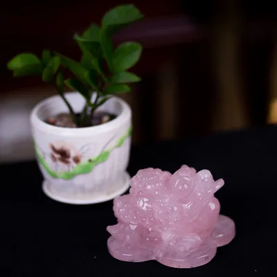 Thiềm Thừ (Cóc 3 Chân - Cóc Ngậm Tiền) Thạch Anh Hồng - 1,38kg - M13664