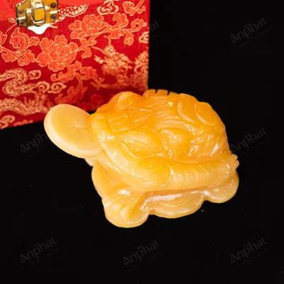 Thiềm Thừ Ngọc Hoàng Long - 10cm - M2537065