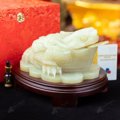 Thiềm Thừ Onyx Xanh - 6,6kg - M281266