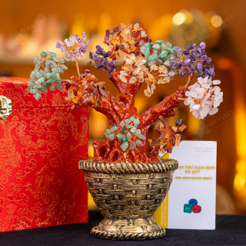 Cây tài lộc để bàn