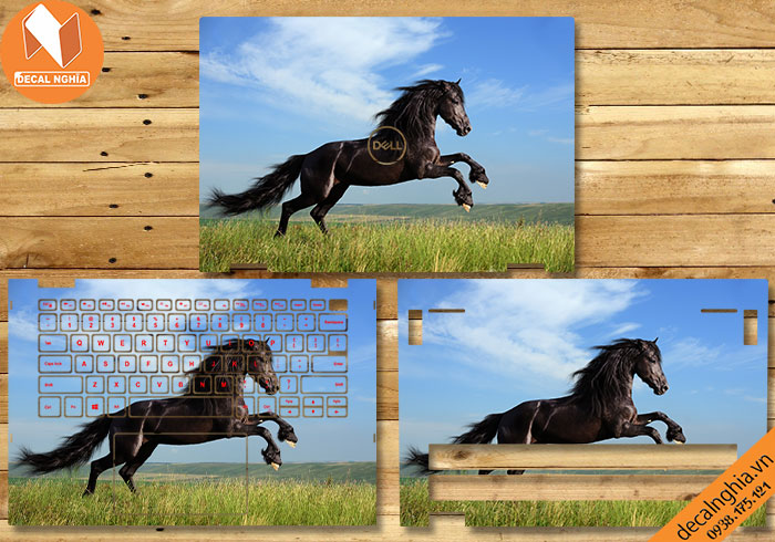 Skin dán laptop Dell Inspiron 14 5406 được fit chuẩn, dễ vệ sinh Skin dán laptop Dell Inspiron 14 5406 được fit chuẩn, dễ vệ sinh