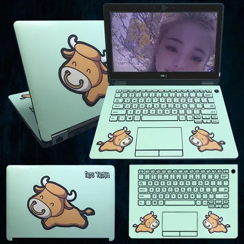 Skin dán laptop Dell Latitude E7270
