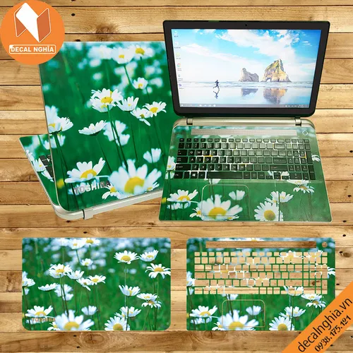 Skin dán laptop Toshiba