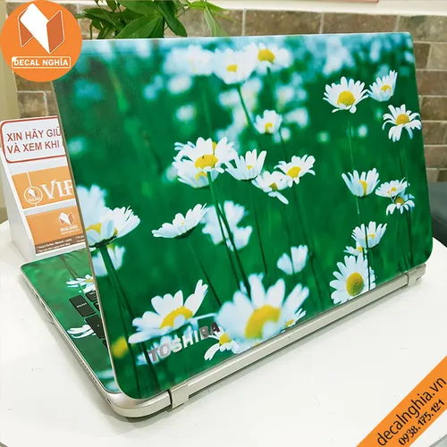 Skin dán laptop Toshiba