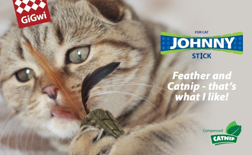 Thanh nhựa TPR đồ chơi cỏ mèo thư giãn làm sạch răng cho mèo - gigwi đồ chơi chó mèo