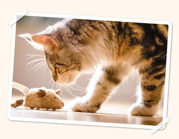 Thời đại công nghệ 4.0 với các bước tiến vượt bậc đồ chơi cho mèo