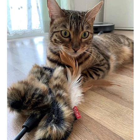 Top 3 đồ chơi cho mèo yêu thích nhất