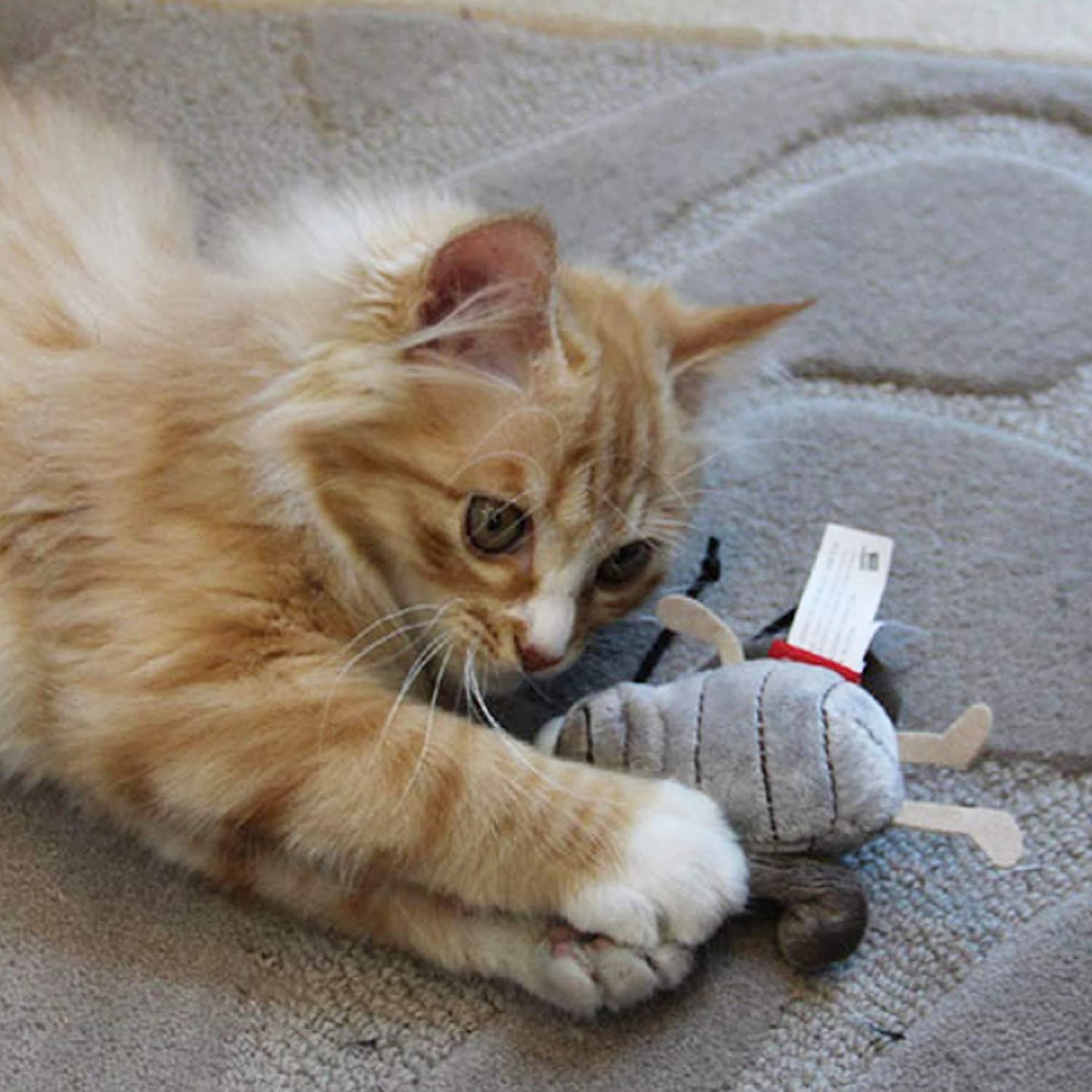 Top 3 đồ chơi cho mèo yêu thích nhất