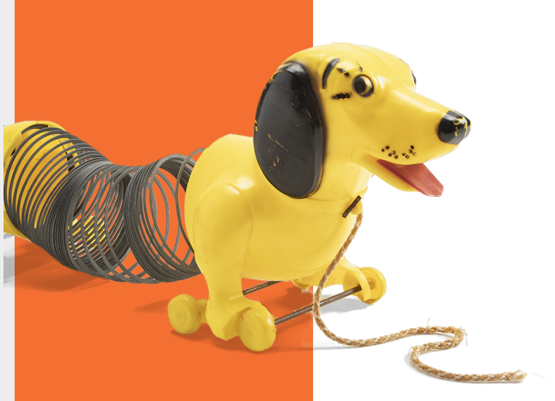 Tìm hiểu lịch sử phát triển đồ chơi chó mèo - đồ chơi chó mèo gigwi cao cấp