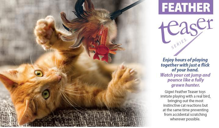 Do-choi-cho-meo-gigwi