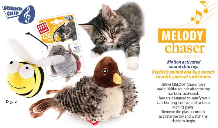 do-choi-cho-meo-gigwi