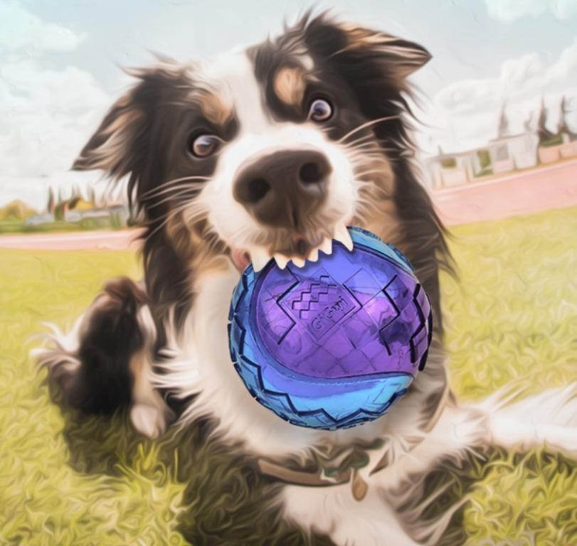 Tìm hiểu những độc tố nguy hiểm gây hại trong đồ chơi chó mèo - đồ chơi gigwi an toàn cho chó mèo