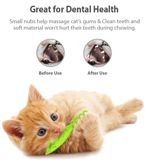 Đồ chơi cỏ mèo cho mèo hưng phấn làm sạch răng miệng treat dispenser chống phá hủy - đồ chơi cho mèo