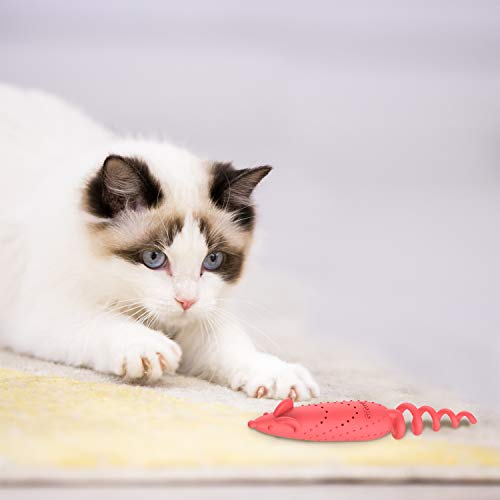 Đồ chơi cho mèo cỏ mèo catnip gigwi