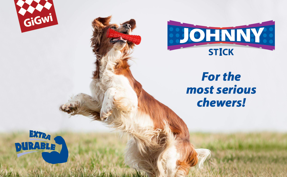 đồ chơi chó mèo gigwi johnny stick
