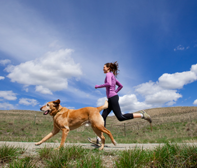 Cách dạy và ngăn ngừa Chó hư và chó không nghe lời