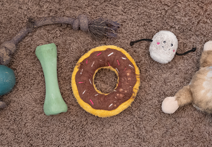 Cách làm sạch vệ sinh đồ chơi cho chó sạch sẽ và an toàn
