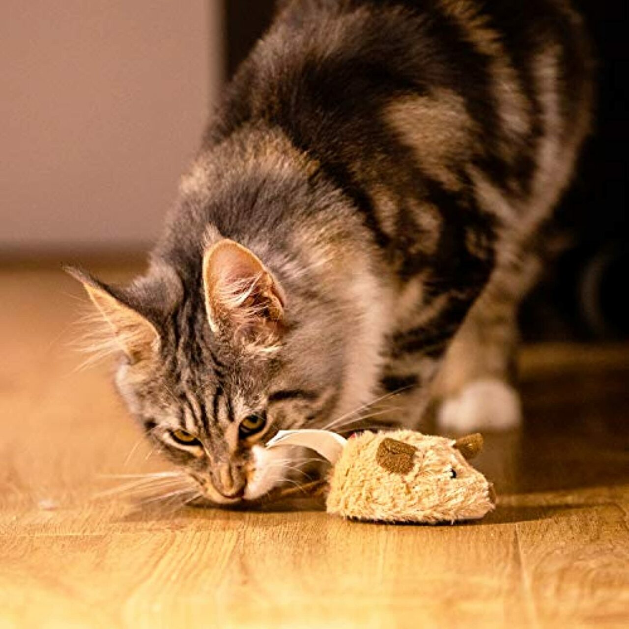 do-choi-cho-meo-gigwi-petroid