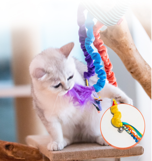 catch and scratch đồ chơi tương tác gây hưng phấn kích thích chơi chuông kêu - gigwi đồ chơi cho mèo