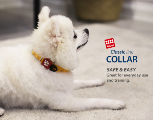 Vòng cổ cho chó gigwi phản quang, an toàn tiêu chuẩn Châu Âu cho chó size bé chó size nhỡ chó size to