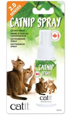 Đồ chơi cho mèo cỏ mèo catnip gigwi