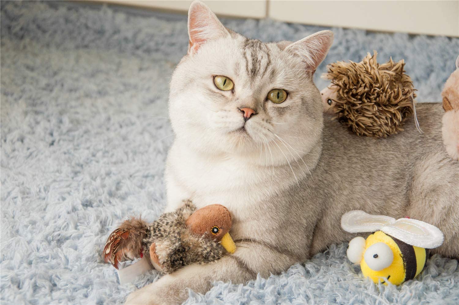 Vật liệu đồ chơi cho mèo thú vị