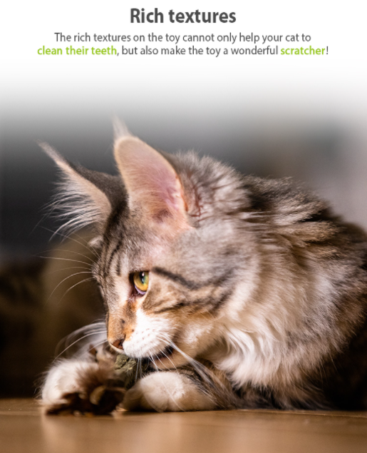 Thanh nhựa TPR đồ chơi cỏ mèo thư giãn làm sạch răng cho mèo - gigwi đồ chơi chó mèo