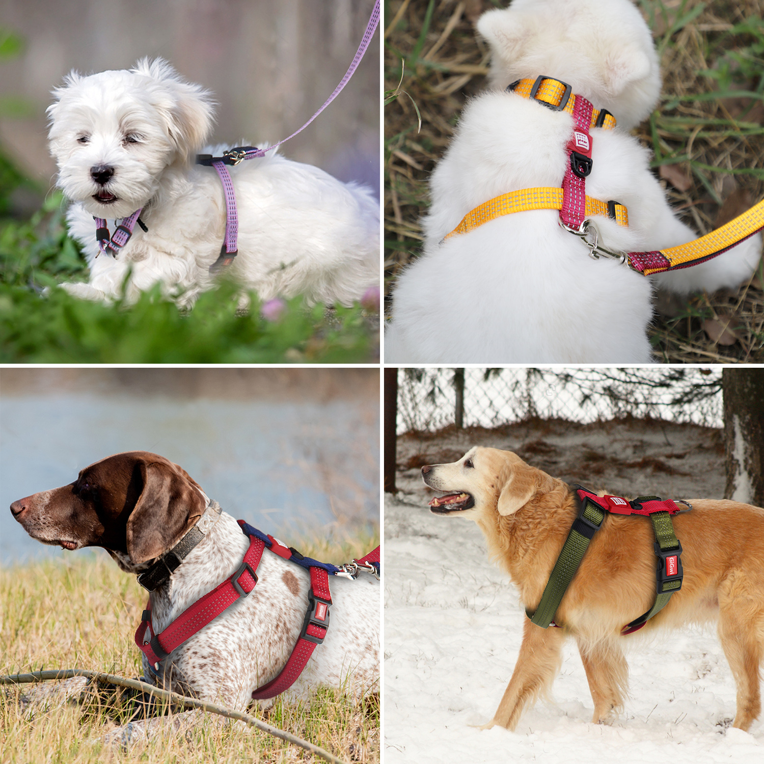 đồ chơi chó mèo gigwi phụ kiện cho chó xích yếm vòng cổ tiêu chuẩn châu âu vải phản quang