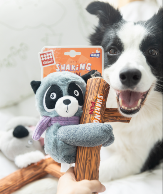 Hướng dẫn tạo môi trường sống an toàn để tránh chó nuốt phải nhựa, dị vật thừ ni lông, cao su hoặc đồ chơi chó mèo 1