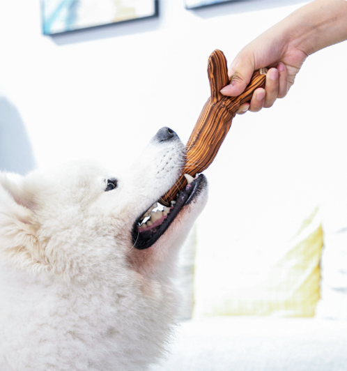 Shaking Fun đồ chơi vải chống cắn phá an toàn vải hữu cơ - gigwi đồ chơi cho chó mèo