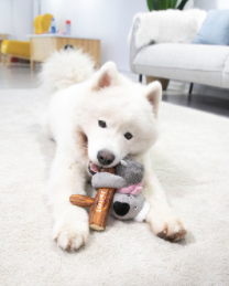 Shaking Fun đồ chơi vải chống cắn phá an toàn vải hữu cơ - gigwi đồ chơi cho chó mèo