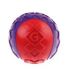 Đồ chơi cho chó G-Ball size M