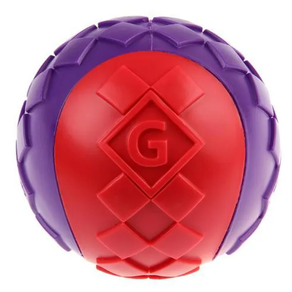 Đồ chơi cho chó G-Ball size M